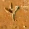 Linear B in Macedonia